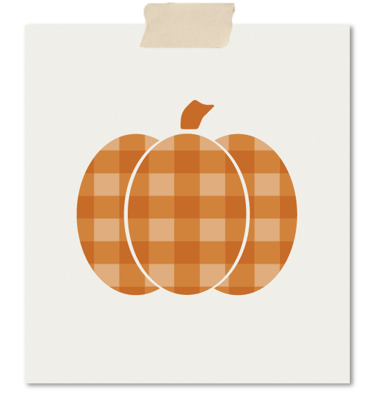Gingham pompoen in oranje en geel